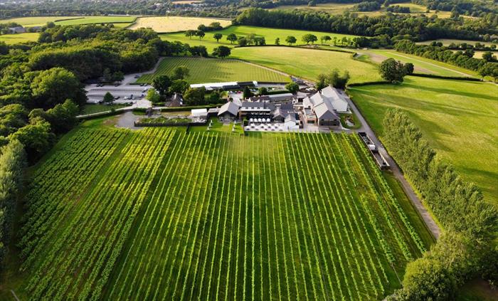 Ariel Shot Of Llanerch Vineyard
